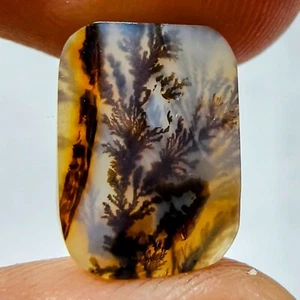 Piedra preciosa cabujón ágata dendrítica shazar natural de 3,30 quilates 12,1 x 8,8 x 3,1 mm 177 - Imagen 1 de 2