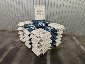 Hybrid Seed Corn 111 Day SF * Seed Corn* - Picture 1 of 3
