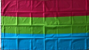 Polysexual Flag Large Poly Sexual Pride Flag - Picture 1 of 4