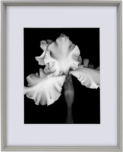 Picture Frame Displays 11 X 14 Photos 16 X 20 without Mat, Gray - Picture 1 of 9