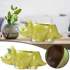 1 PCS Cute Cartoon Animal Shaped Succulent Pot Set Breathable Coarse Pottery
