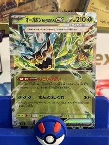 Teal Mask Ogerpon ex 016/101 Sv6: Transformation Mask Holo (Japanese) NM - Picture 1 of 3