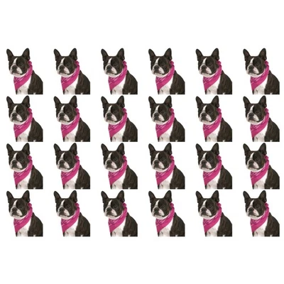 Paquete de 24 pañuelos de algodón de cachemira para perros juego a granel para refugios o fiestas de peluqueros Foto 1 de 4