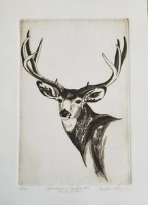 LINDA LLOYD, Original Etching, American Children #3 Mule Deer, Signed Numbered - Picture 1 of 6