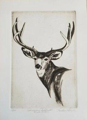 LINDA LLOYD, Original Etching, American Children #3 Mule Deer,  Signed Numbered - Image 1 of 4