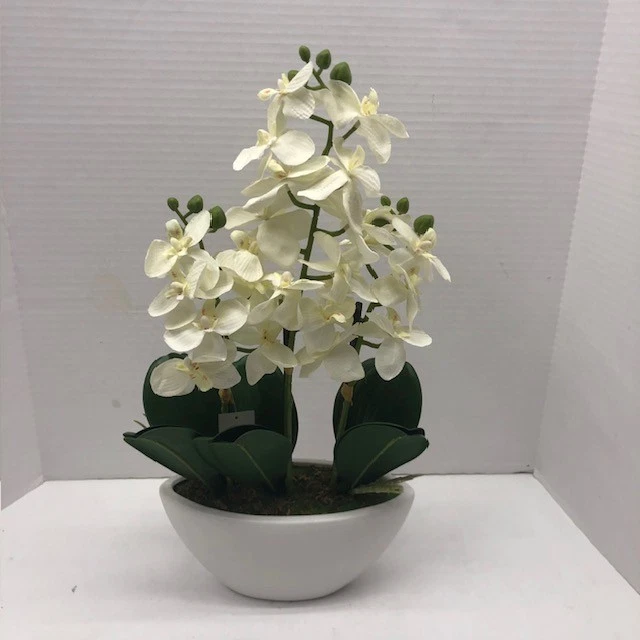 Phalaenopsis Silk White Flower Arrangement 15-in H Artificial Nearly Natural - Image 1 of 4