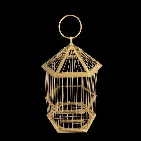 VTG India Brass Hexagonal Birdcage w/Ring 15-in High Cover