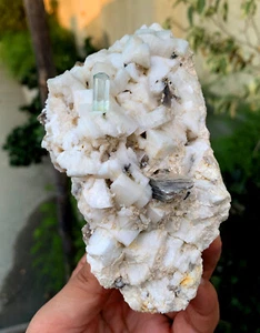 Diamond Cut Aquamarine on Microcline Feldspar from Shigar Pakistan - 555 grams - Picture 1 of 9