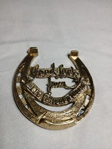 1 Ferro di cavallo in ottone "Buona fortuna da Walt Disney World" - Foto 1 di 2