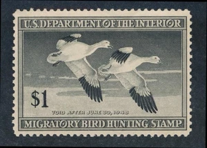 UNITED STATES (US) RW14 MINT F-VF LH $1 BLACK - Picture 1 of 2