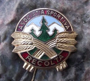 Vintage Asociata Sportiva Recolta Romania Soccer Football Club Crest Pin Badge - Picture 1 of 2