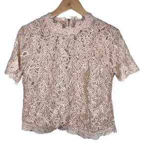 Zara Boho Blush Pink Lace Embroidered Crew Neckline Cropped Top Size Medium - Picture 1 of 6