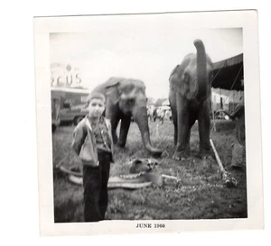 Vintage 1960 CRISTIANI BROS. CIRCUS PHOTO - BLACK & WHITE CIRCUS SNAPSHOT - Picture 1 of 2