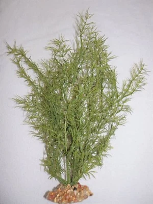 13 in. Pequeña planta inalámbrica de plástico suave verde oliva grueso de 3 tallos, Sto Foto 1 de 3