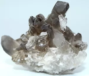 Brasilianischer Rauchquarz Cluster / 2,05" / 52,07 mm / 2,4 oz (68,03 gr) 1897 - Bild 1 von 12