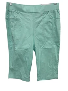 Christopher and Banks Modern Fit Capri Pant Size 14 Elastic Waist Mint Green NEW - Picture 1 of 9