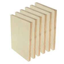 6 Pack 9x12 Unfinished Wood Canvas Panel Boards for Painting Crafts Pouting Arts