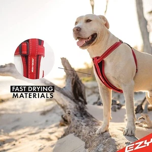 EzyDog Premium Chest Plate Custom Fit Reflective No-Pull Padded Harness,Orange,L - Picture 1 of 12