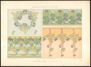 1900 Lithographie Art nouveau Interprétations de lierre Décoration par la plante