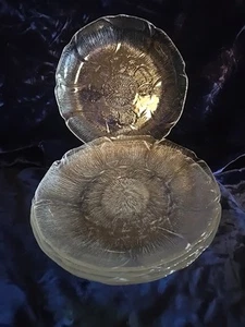 JUEGO DE 5 PLATOS DE ALMUERZO DE VIDRIO TRANSPARENTE ARCOROC FLEUR 9" - Imagen 1 de 3