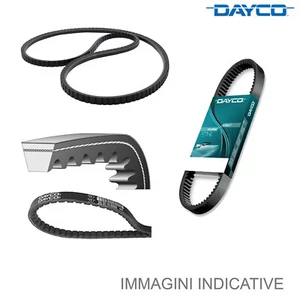 Cinghia Poly-V Dayco 8PK1565MA per Motori Marini Volvo Penta - Foto 1 di 2