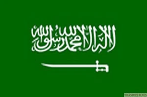 SAUDI ARABIA 18" x 12" FLAG suitable for Boats Caravans Treehouses flags - Picture 1 of 1