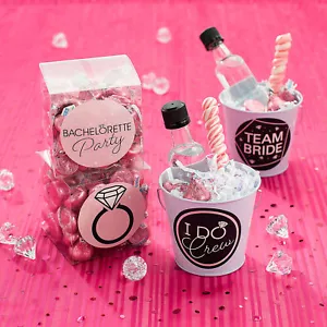 Fun Express Pink Bachelorette Party Favor Stickers & Containers Kit - 39 Pc - Picture 1 of 2