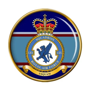 70 Squadron, RAF Pin Badge - Picture 1 of 3
