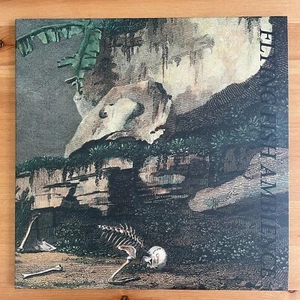 Rainforest Spiritual Enslavement - Flying Fish Ambience - Purple splatter LP - Picture 1 of 7