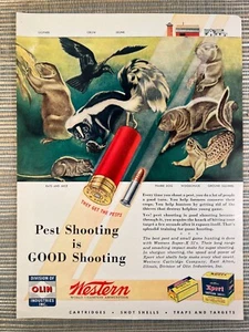 Western Super-X 22s Xpert Shotgun Shells Olin Ammunition 1946 Vintage Print Ad - Picture 1 of 1