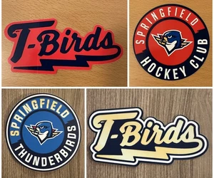Authentische Springfield Thunderbirds Aufkleber Abziehbild PICK & CHOOSE Hockey T-Vögel - Bild 1 von 10