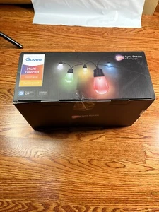Govee Lynx Dream Multi-Color LED Bulb Outdoor String Lights - Picture 1 of 2