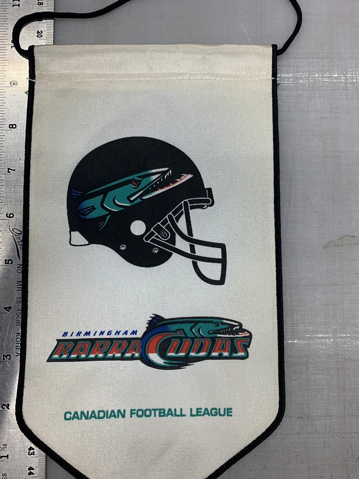 CFL MINI BANNERS BIRMINGHAM BARRACUDAS Foto 1 de 1