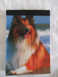 Carnet aimanté à feuilles détachables -  COLLEY - Picture 1 of 1
