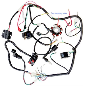 COMPLETE ELECTRICS WIRE HARNESS WIRING CDI STATOR 200 250 ZONGSHEN 2 HOLES QUADS - Foto 1 di 5