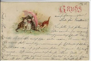 1897 Pioneer German Greetings Postcard Very Early Color Comic Cats - Picture 1 of 2