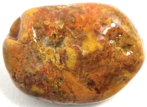 Tennessee Paintrock Agate Specimen Brecciated Jasper Plume Dino Poop See Video - Picture 1 of 10