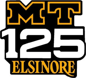 Elsinore MT125, 1975 Side Cover Decal, Graphic - Picture 1 of 2