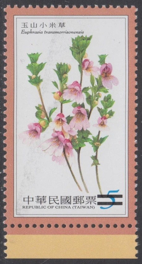 Specimen, Taiwan Sc3990 Alpine Flower - Image 1 of 1