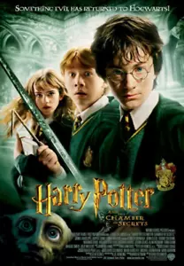 Harry Potter and the Chamber of Secrets DVD (2002) - Picture 1 of 1