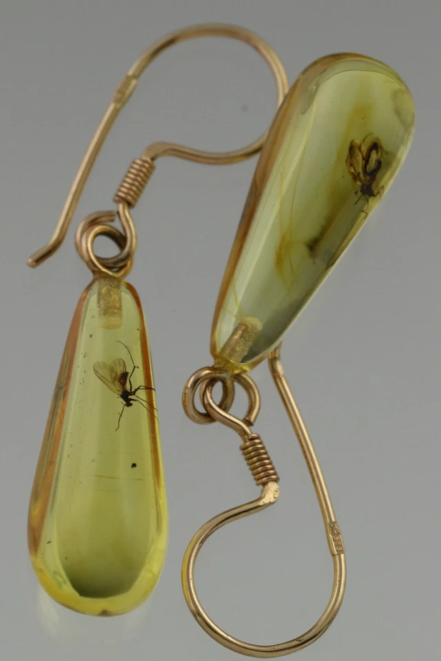 Pendientes colgantes genuinos ámbar báltico oro 14k insectos fósiles 2,1 g 200520-5 Foto 1 de 4
