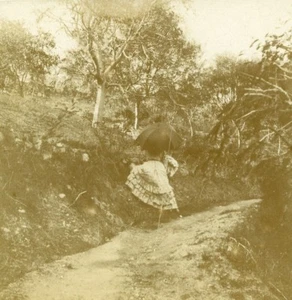 France French Riviera around Nice Old Amateur Stereoview Photo Pourtoy 1900 - Foto 1 di 3