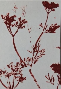 ACEO Art Card Original, Plant Pressing , Acrylic, Botanical, Outsider , Brut Art - Picture 1 of 4