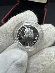 2014 Canada Proof .995 Platinum $5 Coin - 1/10th Bald Eagle - Picture 1 of 3