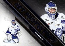 2012-13 Swedish Hockey Allsvenskan Net Protectors #6 Erik Hanses