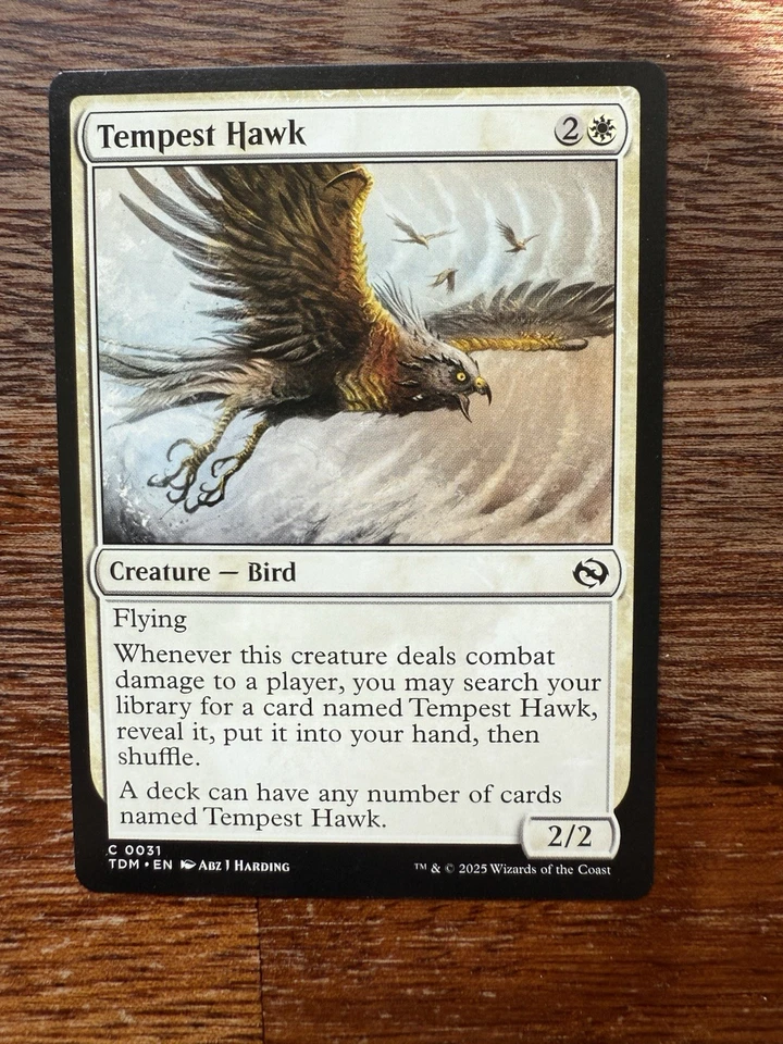 MTG - Tempest Hawk. Tarkir: Dragonstorm. Common White Creature - Bird. - Image 1 of 1