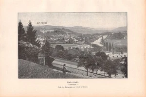 Rudolstadt - 1887 - Illustrazione storica ~26x18cm - Foto 1 di 1
