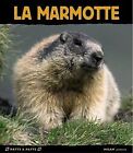 La marmotte by Simon, Dominique, Simon, Serge | Book | condition very good