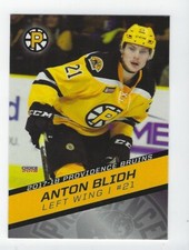 2017-18 Providence Bruins (AHL) Anton Blidh