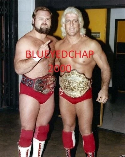 ARN ANDERSON & RIC FLAIR WRESTLER 8 X 10 WRESTLING PHOTO NWA WCW WWF - Image 1 of 1